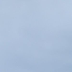 Meet your Posher, Katarina